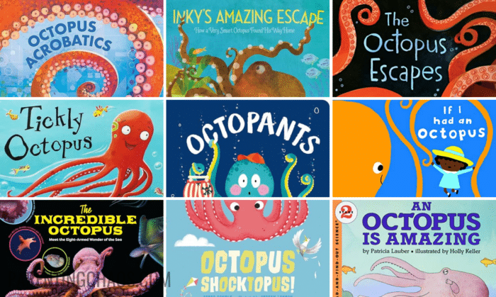 Octopus Books for Preschoolers