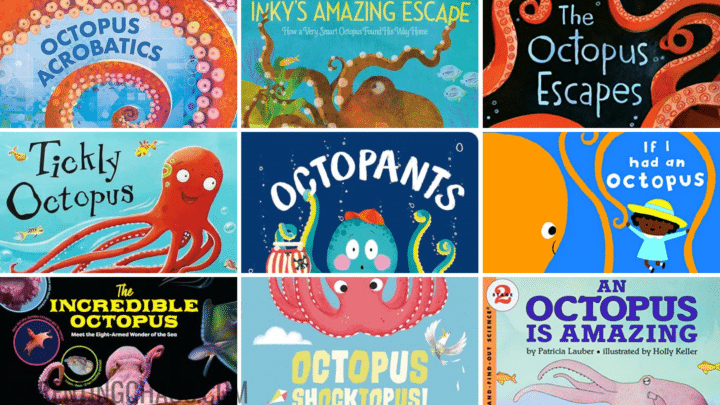 Octopus Books for Preschoolers
