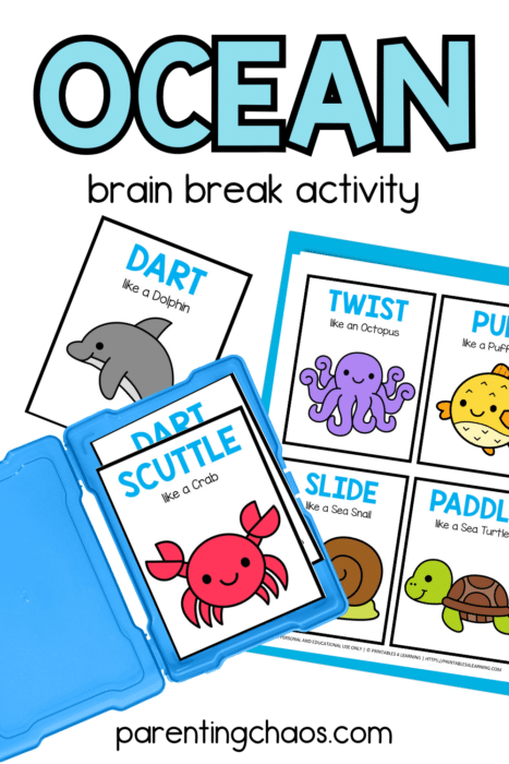 sea animal brain break