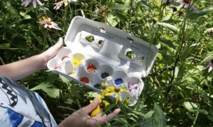 nature color scavenger hunt for kids