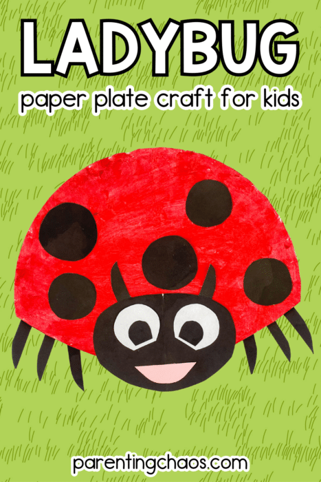 Ladybug Paper Plate Craft for Kids