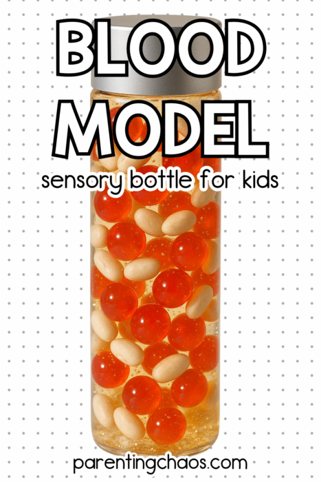 A clear sensory bottle filled with red and white beads, standing upright on a white background with small gray dots. The label says “Blood Model Sensory Bottle for Kids.”
