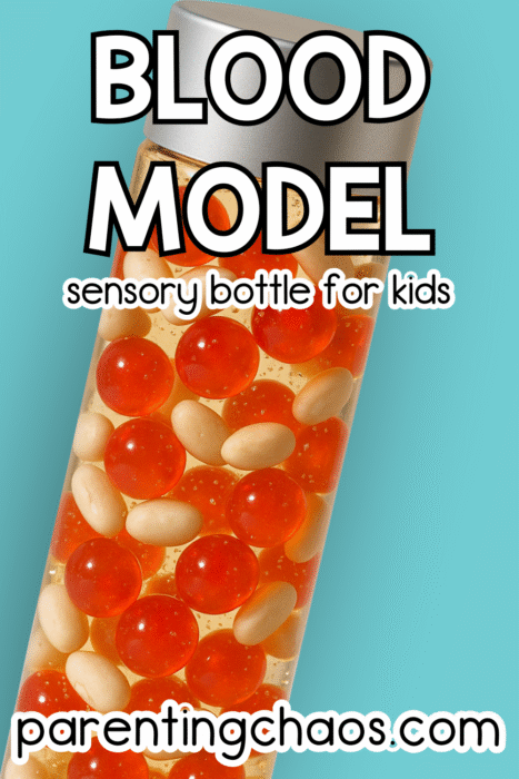 A silver-lidded sensory bottle filled with red water beads and white beans on a bright turquoise background with the words “Blood Model Sensory Bottle for Kids.”