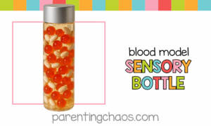 Blood model sensory bottle on white background with colorful Parenting Chaos banner.