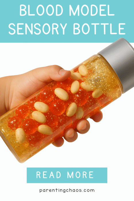 A child’s hand holding a clear sensory bottle filled with red water beads, white beans, and golden glitter. The label reads “Blood Model Sensory Bottle.”