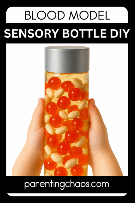 Two small hands hold a sensory bottle filled with red water beads and white beans, labeled “Blood Model Sensory Bottle DIY.”