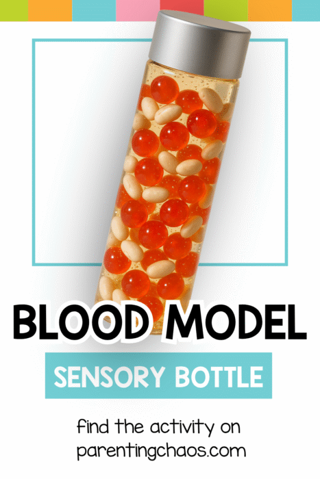 A tilted clear sensory bottle filled with red water beads and white beans, surrounded by colorful blocks of text that read “Blood Model Sensory Bottle.”