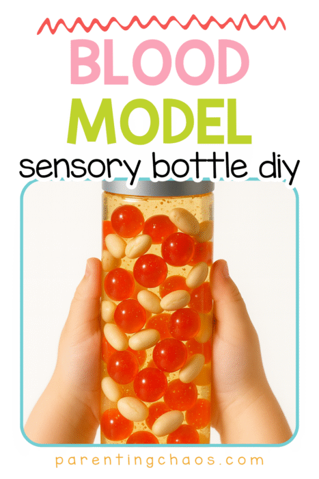 A child’s hands holding a sensory bottle filled with red and white beads against a bright background with playful colors. The text reads “Blood Model Sensory Bottle DIY.”