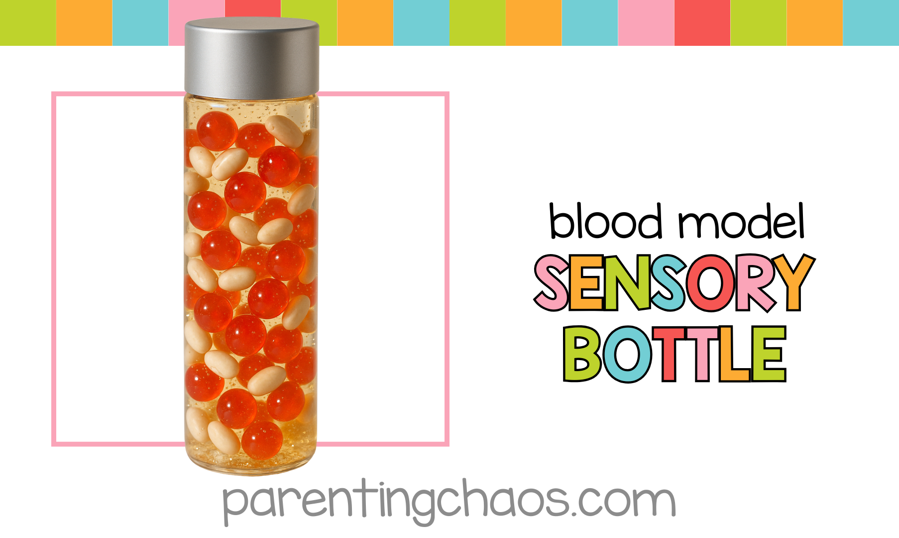 Blood model sensory bottle on white background with colorful Parenting Chaos banner.