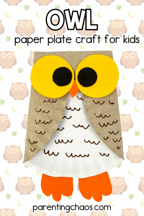 Finished owl paper plate craft with yellow eyes, orange feet, and brown feather details on a patterned owl background.