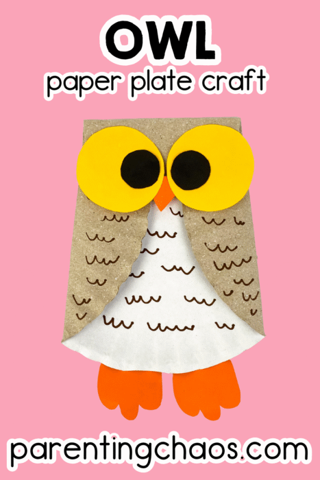 Owl paper plate craft with big yellow eyes and orange feet on a pink background with text “Owl Paper Plate Craft.”