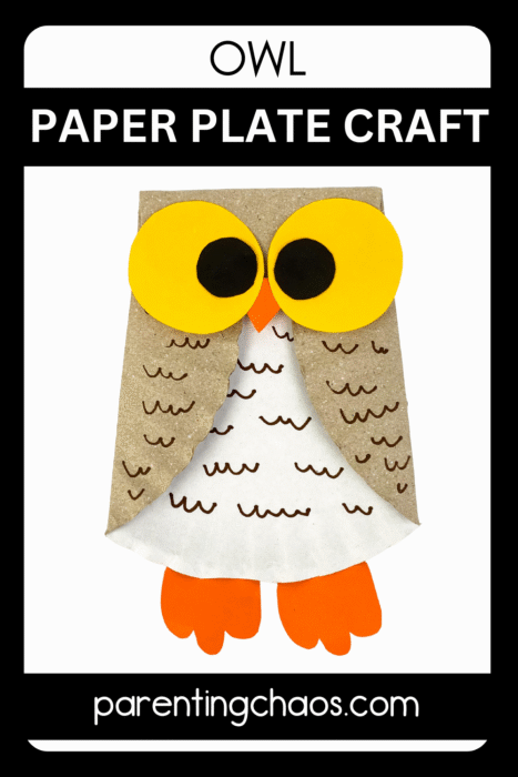 Owl paper plate craft with bold black border and white text.