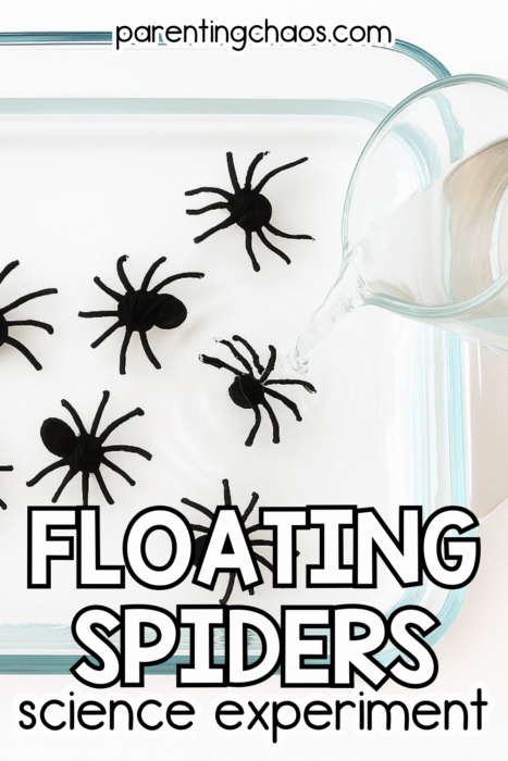 Bird’s-eye view of a clear glass baking dish filled with water and several hand-drawn black spiders floating on the surface, with water being poured from a glass measuring cup. Text reads “Floating Spiders Science Experiment – parentingchaos.com.”
