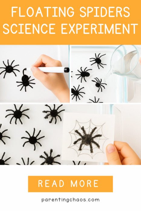 Collage of three images showing a child drawing black spiders with a dry erase marker, pouring water over them, and holding up a card with a spider web drawing. Text on an orange background reads “Floating Spiders Science Experiment – Read More – parentingchaos.com.”