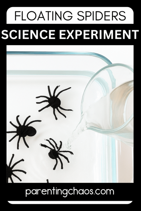 Overhead photo of a glass dish with floating black spiders drawn on a white surface, as water is poured in from a glass pitcher. Text reads “Floating Spiders Science Experiment – parentingchaos.com” in a black and white bold frame.