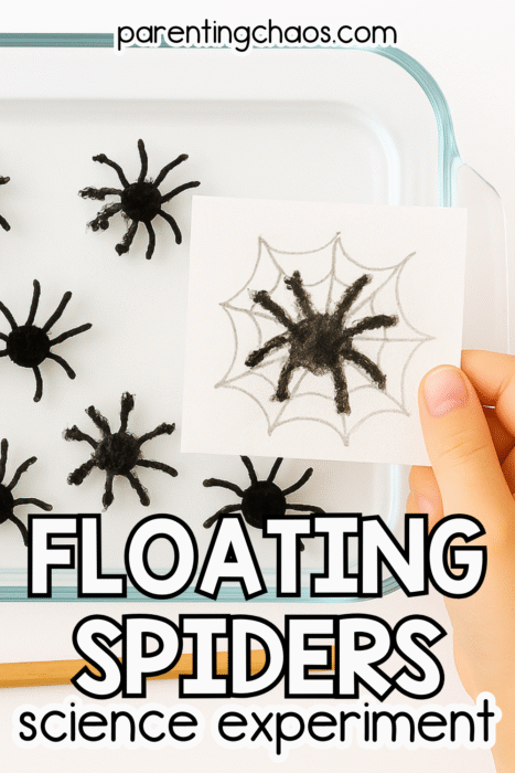 Close-up of a child holding a small white card with a hand-drawn spider inside a web over a tray of floating black spider drawings. Text reads “Floating Spiders Science Experiment – parentingchaos.com.”