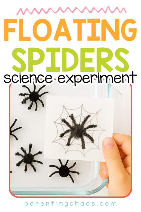 Close-up of a child holding a drawing of a spider in a web above a tray filled with floating black spider drawings. Text reads “Floating Spiders Science Experiment – parentingchaos.com” in bright orange and green lettering with a pink squiggle accent.