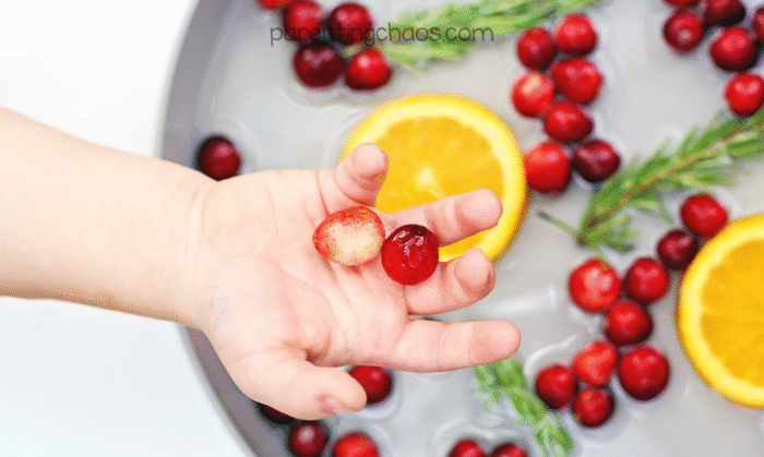 Child’s hand holding two wet cranberries over a water sensory bin with floating oranges and rosemary, part of a cranberry sensory play activity.