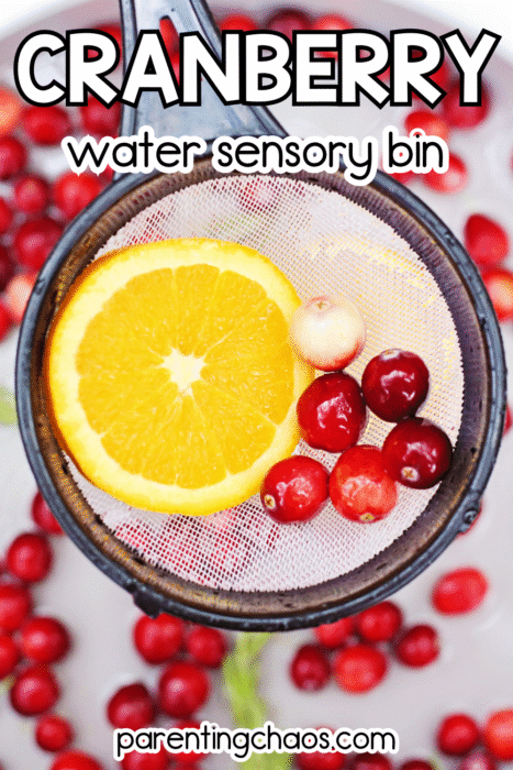 Cranberry and orange slice in a strainer during a water sensory bin activity for kids.