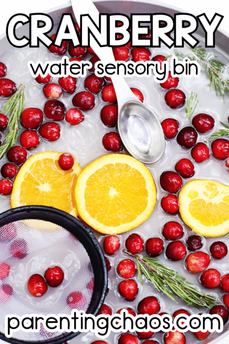 Overhead view of a cranberry water sensory bin with floating oranges, rosemary, and a silver scoop.