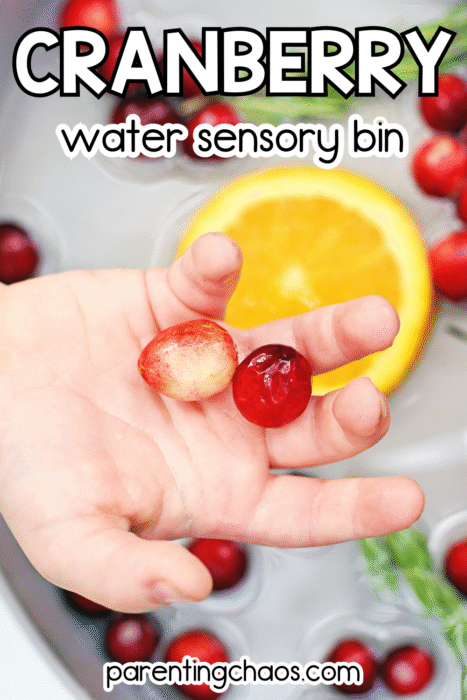 Close-up of child’s hand holding wet cranberries above a sensory bin filled with citrus and herbs.