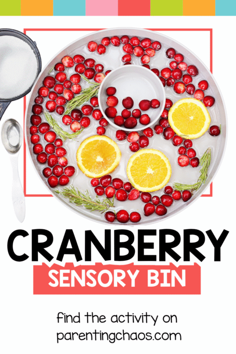 Overhead view of a festive cranberry sensory bin with oranges, cranberries, and a strainer for scooping.