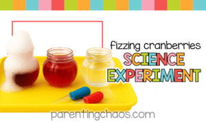 Title image with three jars on a yellow tray — one bubbling with foam — and colorful text that reads “Fizzing Cranberries Science Experiment.”