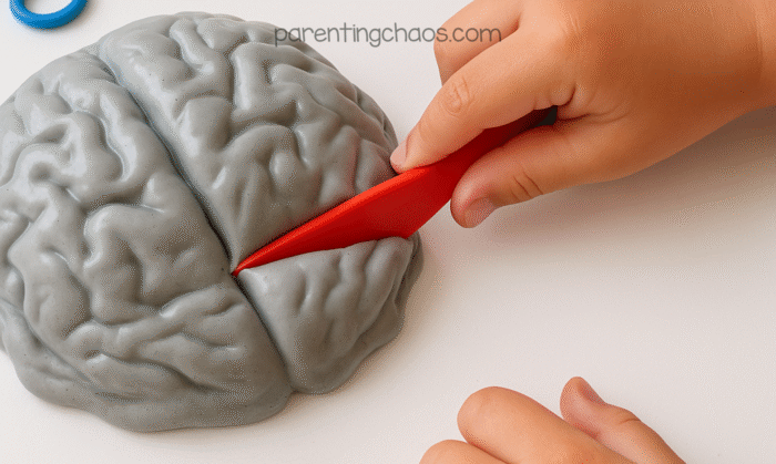 Child using a red plastic knife to slice into molded gray brain slime for pretend play.