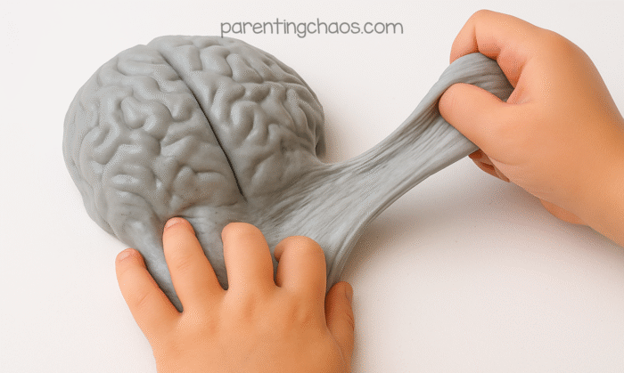 Child’s hands stretching molded gray brain slime, showing its soft, stretchy texture.