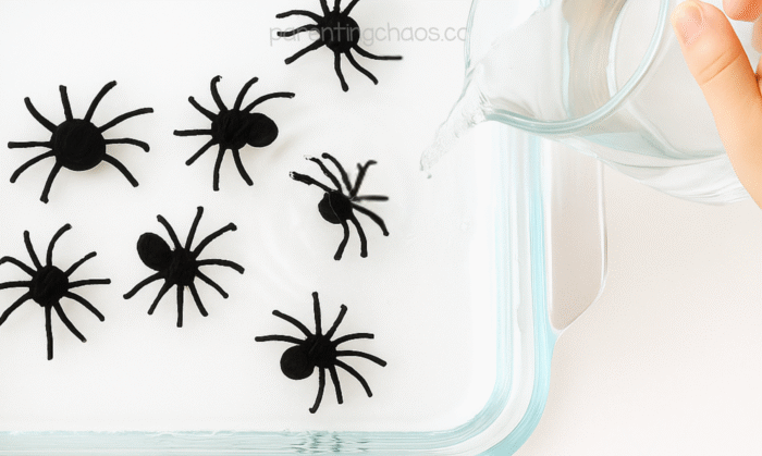 Child’s hand pouring water into the dish with black spider drawings as they begin to lift and float.