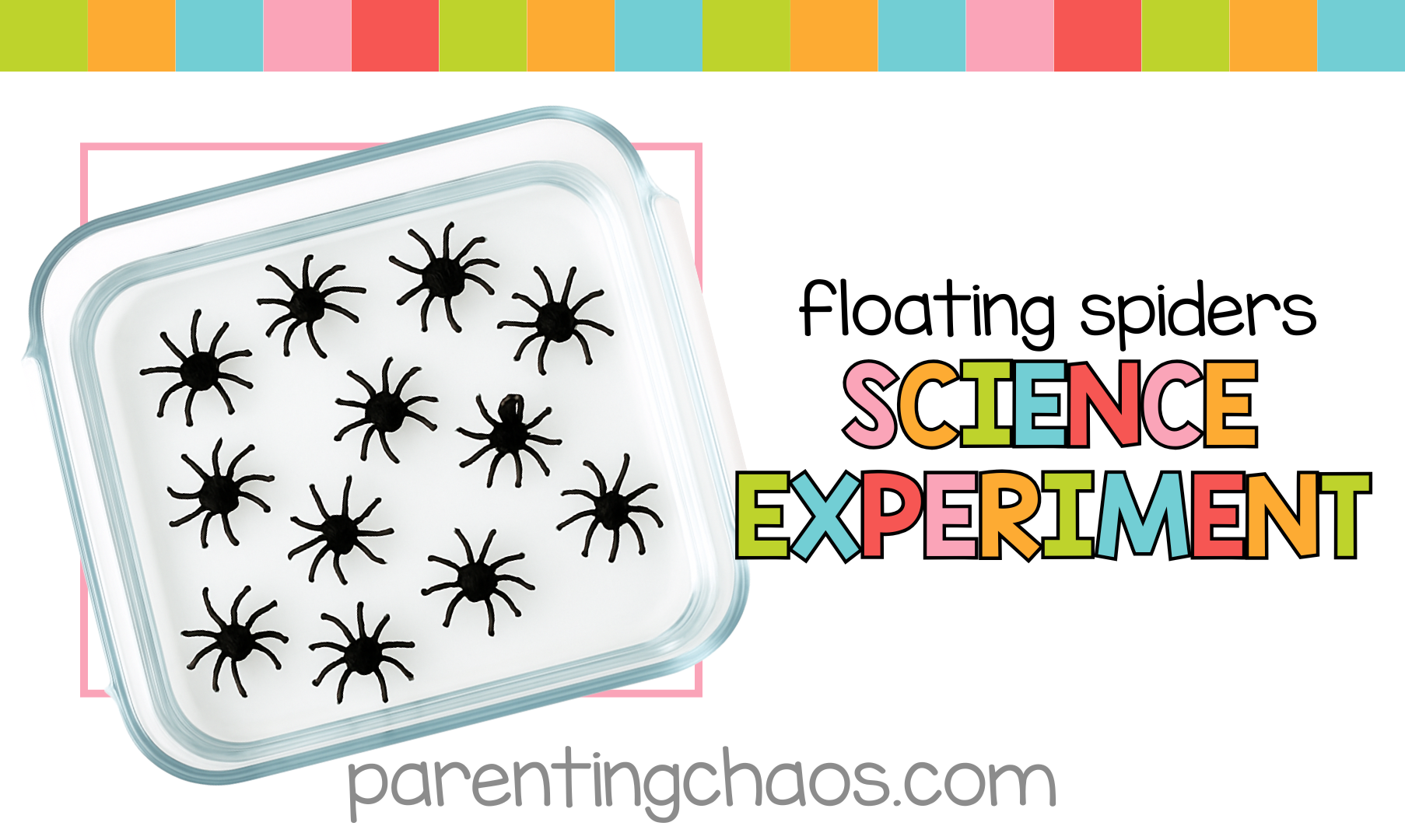 Bright overhead image of a glass dish filled with floating spider drawings with text overlay reading “Floating Spiders Science Experiment – ParentingChaos.com.”
